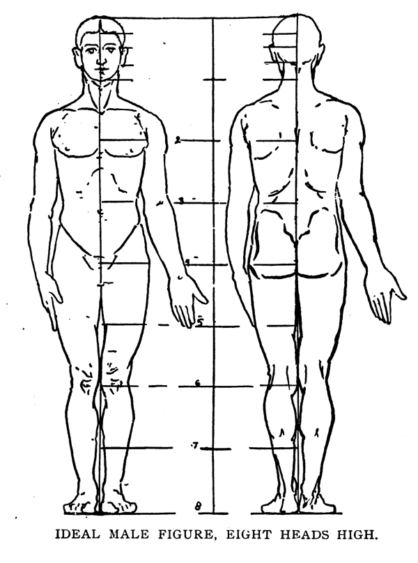 600x807 Drawing The Human Body Figure - Male Body Proportions Drawing