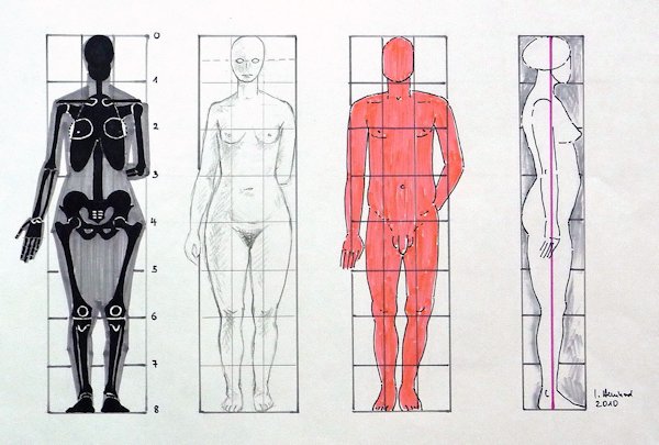 600x405 drawing the human figure getting the proportions right - Male Body Proportions Drawing