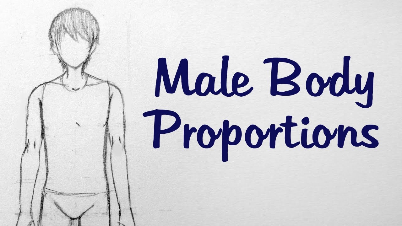 1280x720 how to draw manga male body proportions - Male Body Proportions Drawing
