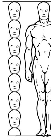 165x450 How To Draw The Human Figure - Male Body Proportions Drawing