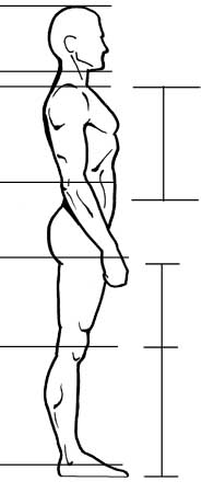 196x450 How To Draw The Human Figure - Male Body Proportions Drawing