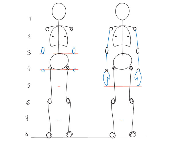 600x492 human anatomy fundamentals basic body proportions - Male Body Proportions Drawing