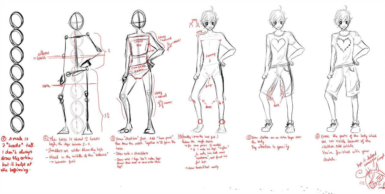 1258x635 tutorial male proportions - Male Body Proportions Drawing