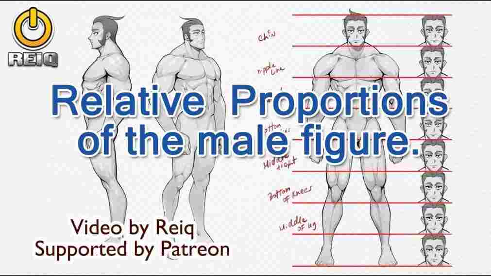 1011x569 rhcom of body proportions male drawing the human figure - Male Body Proportions Drawing