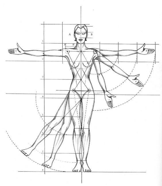564x648 guide importance of proper body proportions and how - Male Body Proportions Drawing