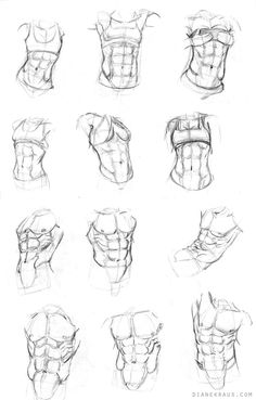 236x369 Basic Male Torso Tutorial - Male Drawing Outline