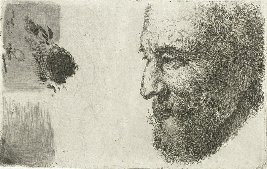 900x569 face of an old man in profile, johannes mock drawing - Male Face Profile Drawing