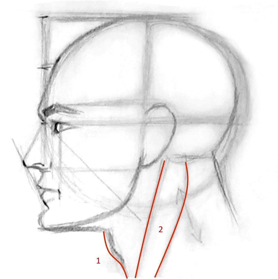 1130x1134 How To Draw A Man Face Profile Sketch Techniques - Male Face Profile Drawing