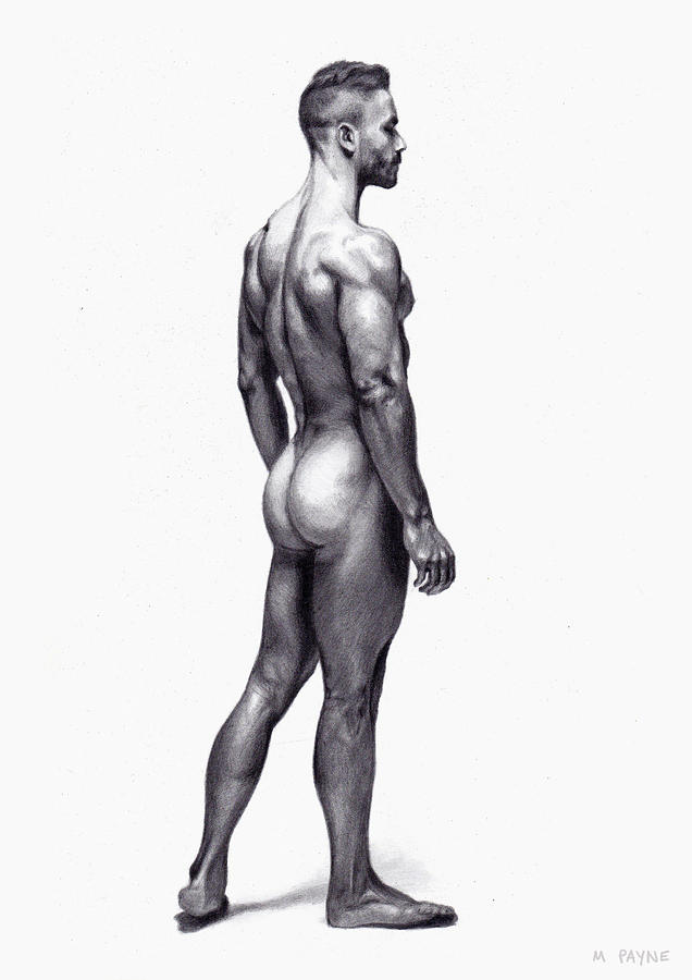 636x900 Male Figure Study Drawing - Male Figure Drawing
