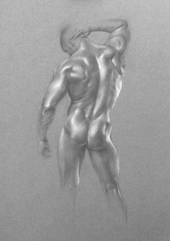 570x808 Original Drawing Male Figure Drawing Pencil And White Etsy - Male Figure Drawing