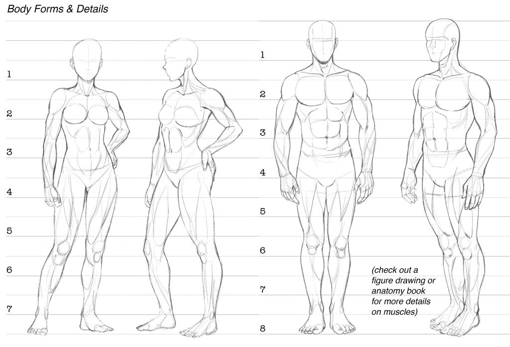 1024x696 how to draw comics character design drawing the figure dirk i - Male Figure Drawing