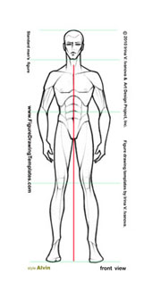 161x336 Pictures Male Drawing Template - Male Figure Drawing Templates