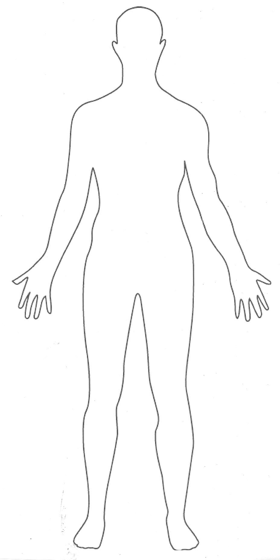 928x1856 Gallery Front And Back Body Outline - Male Figure Outline Drawing
