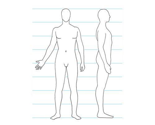 500x402 Huge Collection Of 'male Body Outline Drawing' Download More Than - Male Figure Outline Drawing