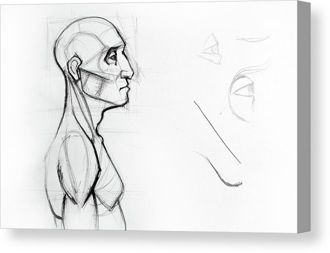 661x507 Human Outline Drawing - Male Figure Outline Drawing