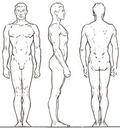 236x254 Best Croquis Images Fashion Illustrations, Male Fashion, Men - Male Figure Outline Drawing