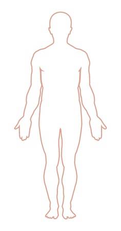 236x450 Body Outline - Male Figure Outline Drawing