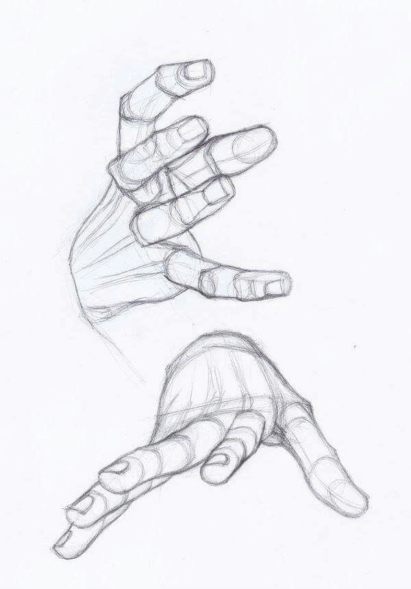 600x860 Hand Drawing - Male Hand Drawing