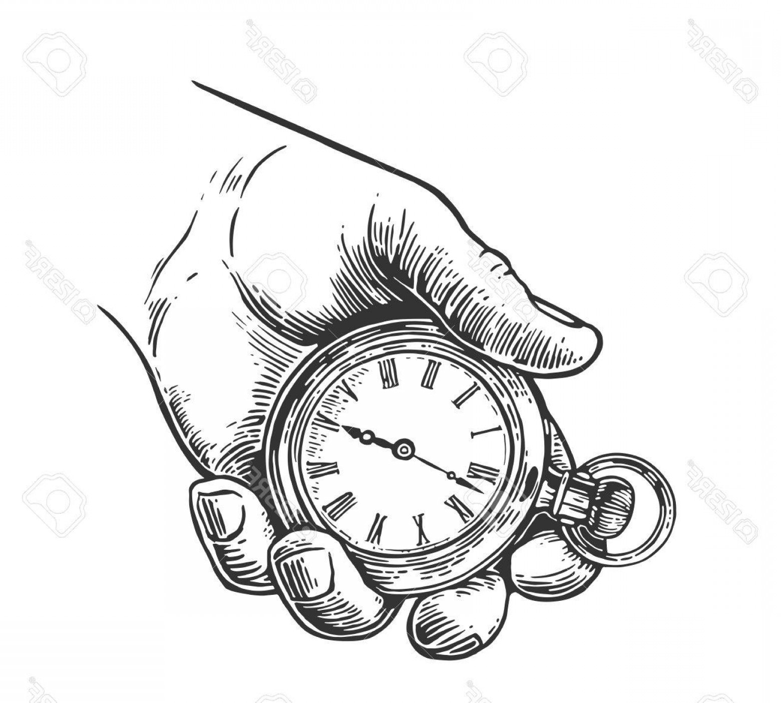 1560x1404 Photostock Vector Male Hand Holding Antique Pocket Watch Vector - Male Hand Drawing