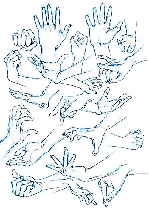 500x708 male hands ref - Male Hand Drawing