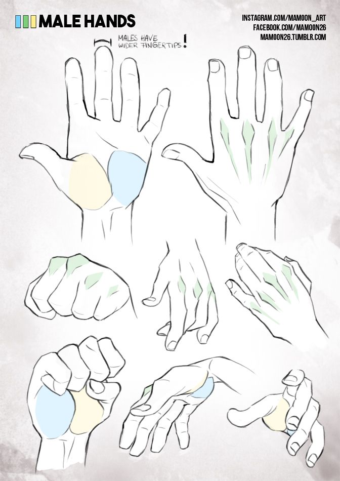 672x950 Simplified Anatomy - Male Hand Drawing