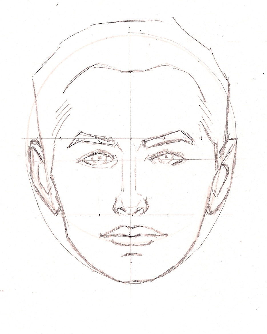 935x1170 escape from technology proportions of the male head - Male Head Drawing