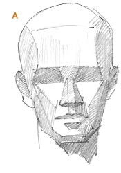175x250 Here Is An Artist's Guide To Drawing The Human Head - Male Head Drawing