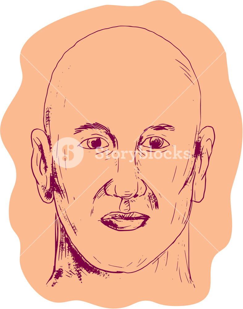 787x1000 drawing sketch style illustration of head of a bald caucasian male - Male Head Drawing