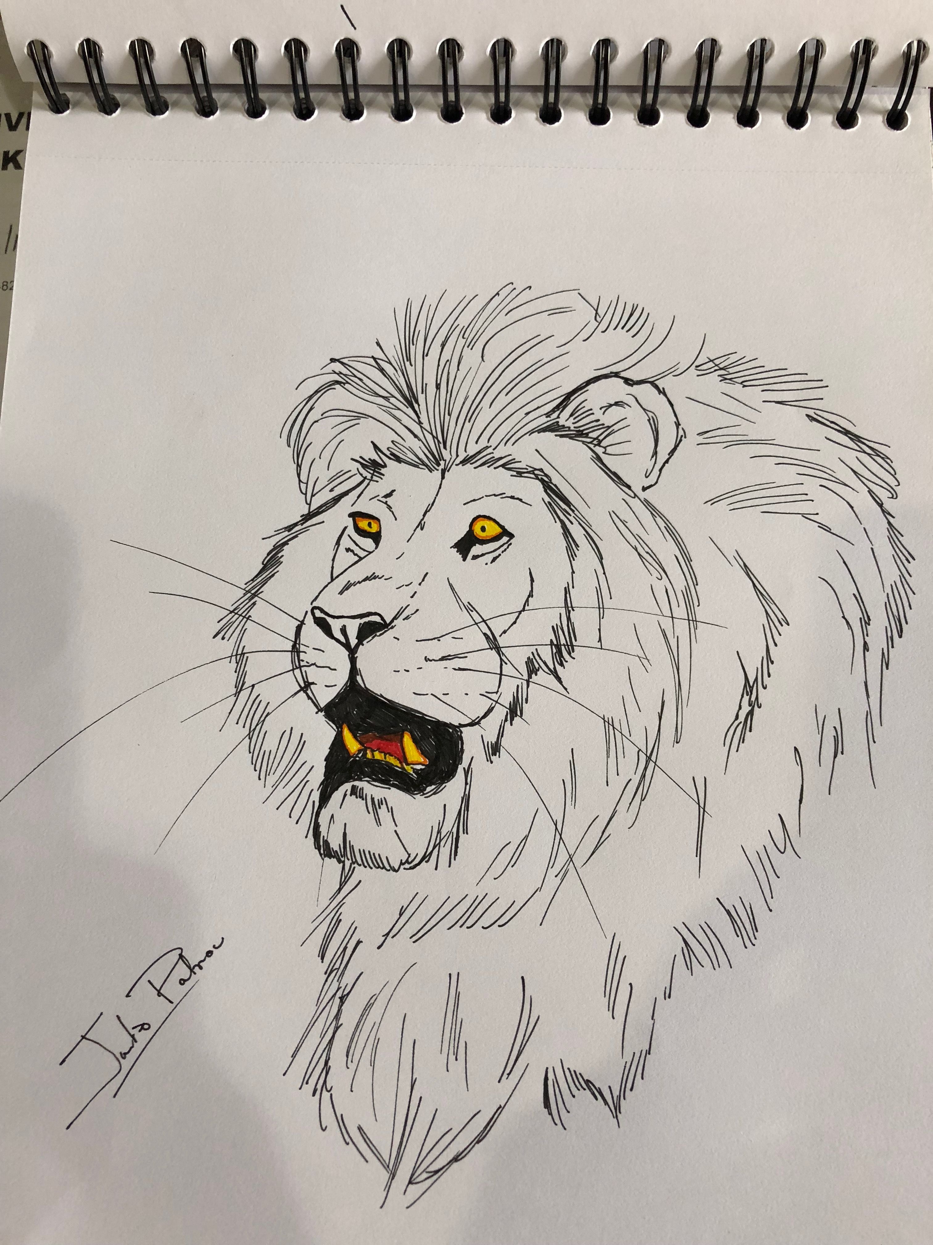 3024x4032 Male Lion Drawing Art Lion Drawing, Animal Drawings, Draw - Male Lion Drawing