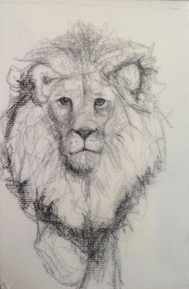 375x572 Male Lion Drawing - Male Lion Drawing