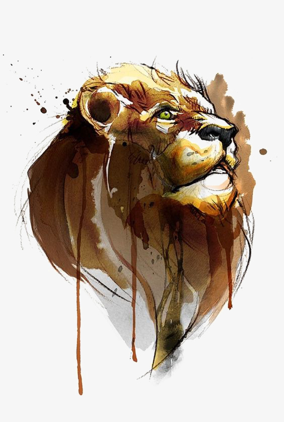 564x837 Drawing Lion, Lion Clipart, Male Lion, Lions Png Image And Clipart - Male Lion Drawing