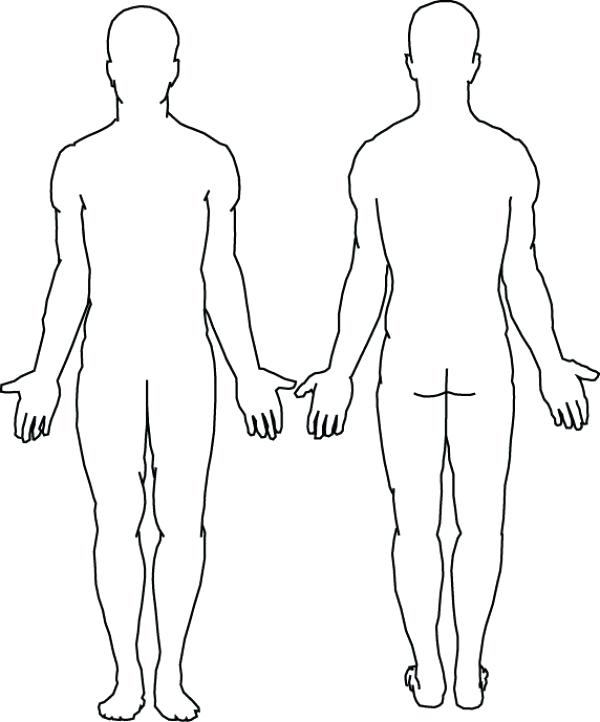 600x722 Human Back Outline Medical Human Body Outline Drawing At Com Free - Male Outline Drawing