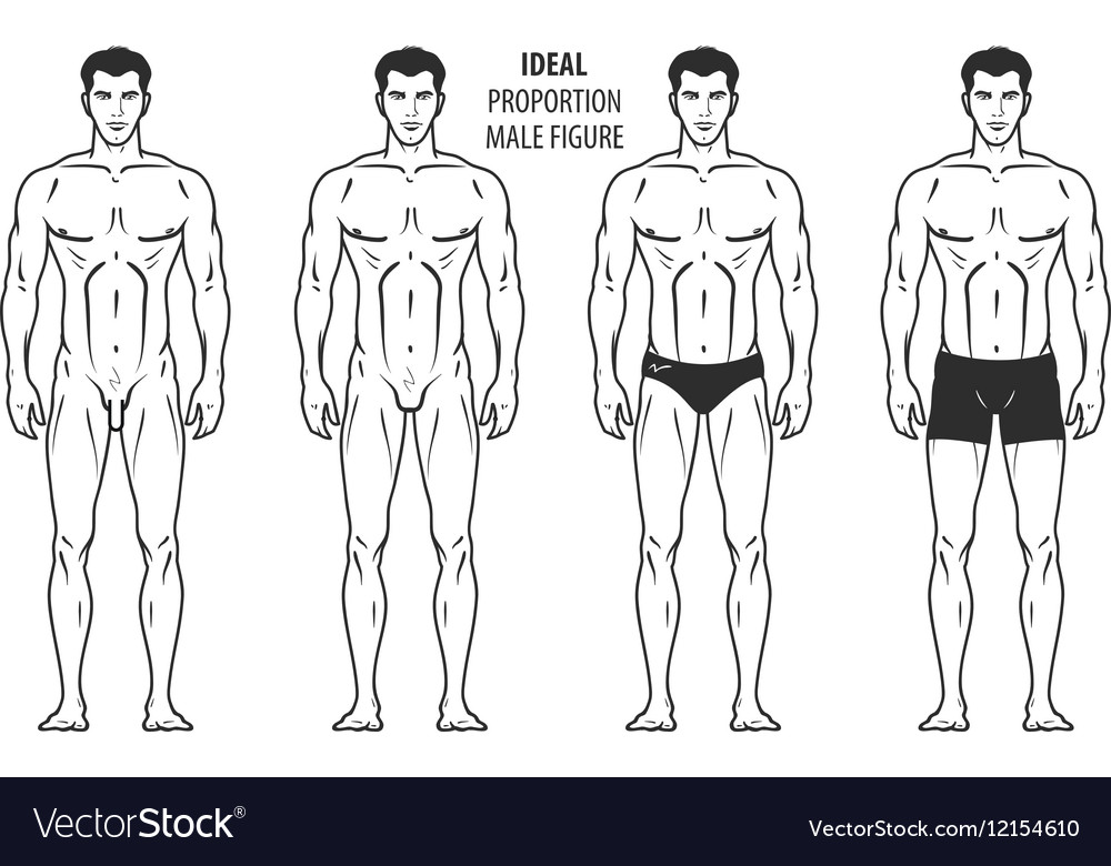 1000x780 Male Outline - Male Outline Drawing