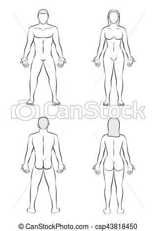 320x470 Man Woman Body Blank Outline Illustration Man And Woman Posterior - Male Outline Drawing