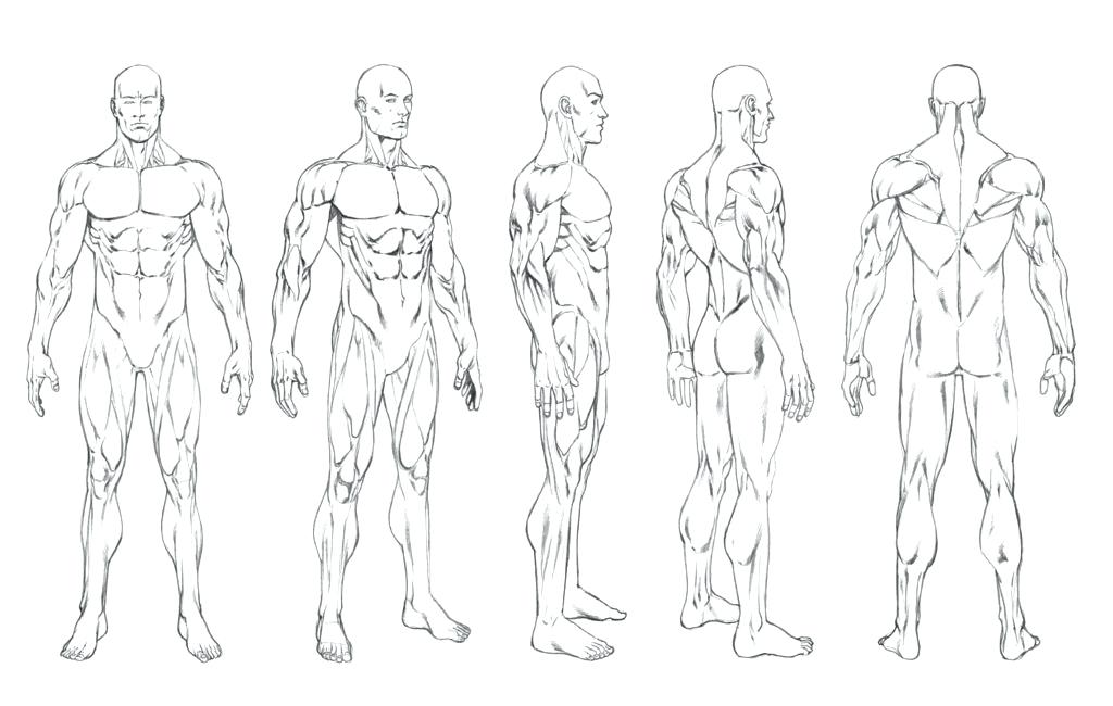 Male Outline For Drawing at Explore collection of