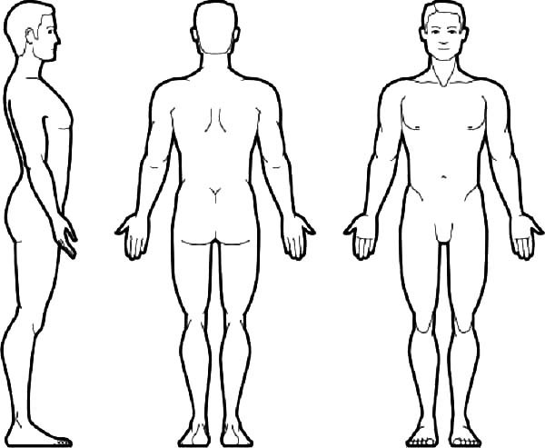 600x493 Outline Drawing Of Human Body - Male Outline For Drawing