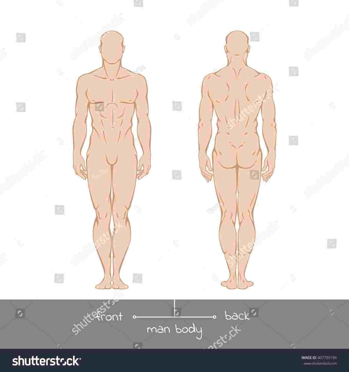 1185x1264 Realistic Male Body Outline Drawing - Male Outline For Drawing