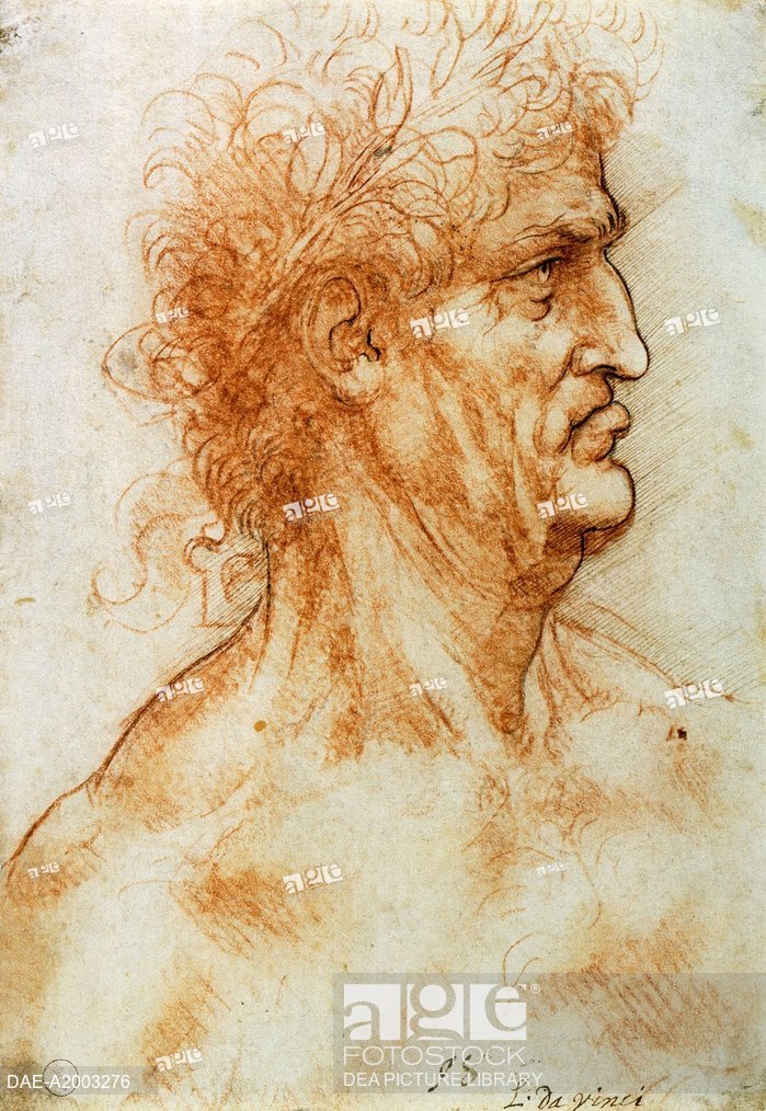 699x1014 Male Profile - Male Profile Drawing