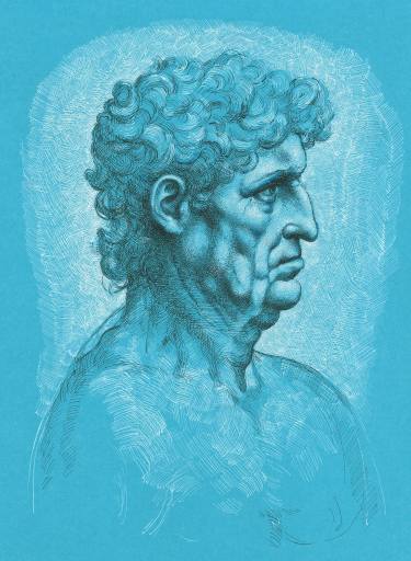 375x512 Male Profile After Leonardo Da Vinci Drawing - Male Profile Drawing