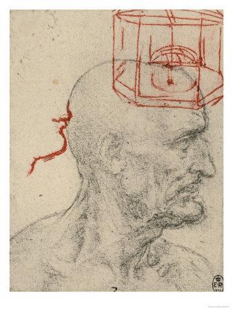 338x450 study of a male profile, black and sanguine pencil drawing on gray - Male Profile Drawing