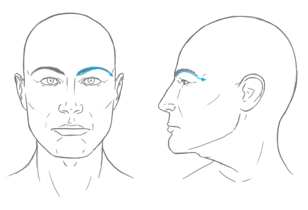 600x409 the differences between male and female portraits - Male Profile Drawing