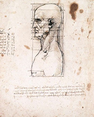 400x500 Male Head In Profile With Proportions - Male Profile Drawing