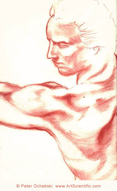 391x640 Male Figure Profile Drawing - Male Profile Drawing