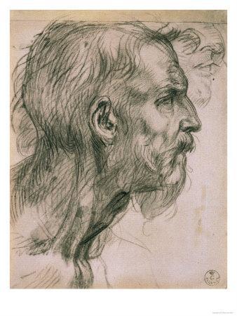 338x450 Drawing With Male Profile, In The Uffizi Gallery, In The Gabinetto - Male Profile Drawing