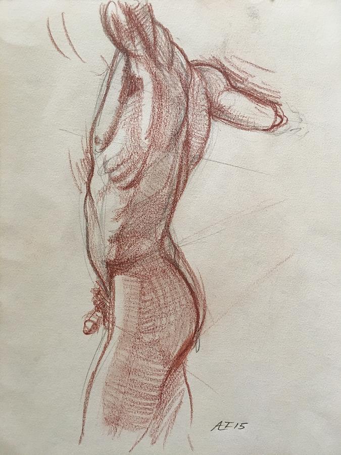 675x900 Male Torso Drawing - Male Torso Drawing