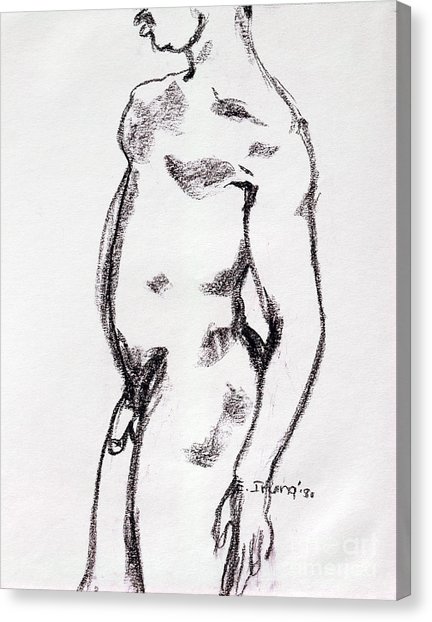 432x622 Male Torso Drawing - Male Torso Drawing