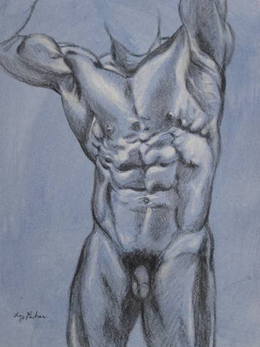 375x500 Male Torso Study Drawing - Male Torso Drawing