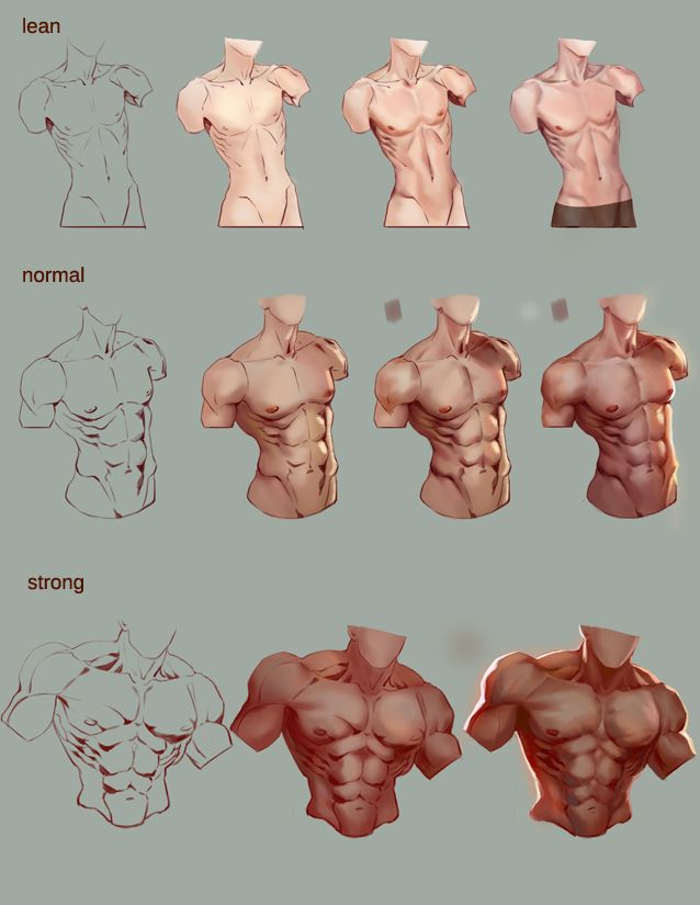 638x825 Tutorial Male Turso - Male Torso Drawing