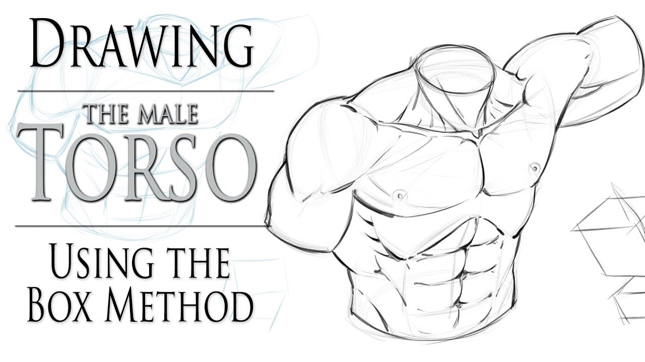 1280x720 Drawing The Male Torso - Male Torso Drawing