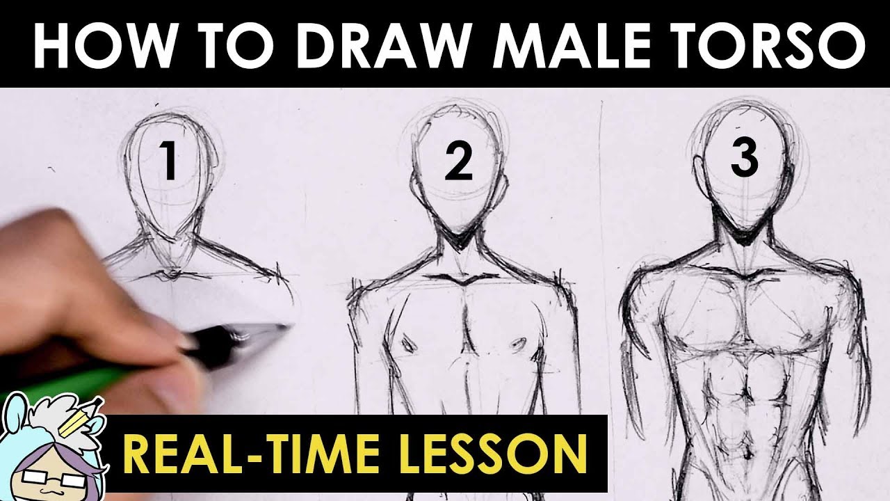 1280x720 How To Draw Male Torso Three Different Ways - Male Torso Drawing